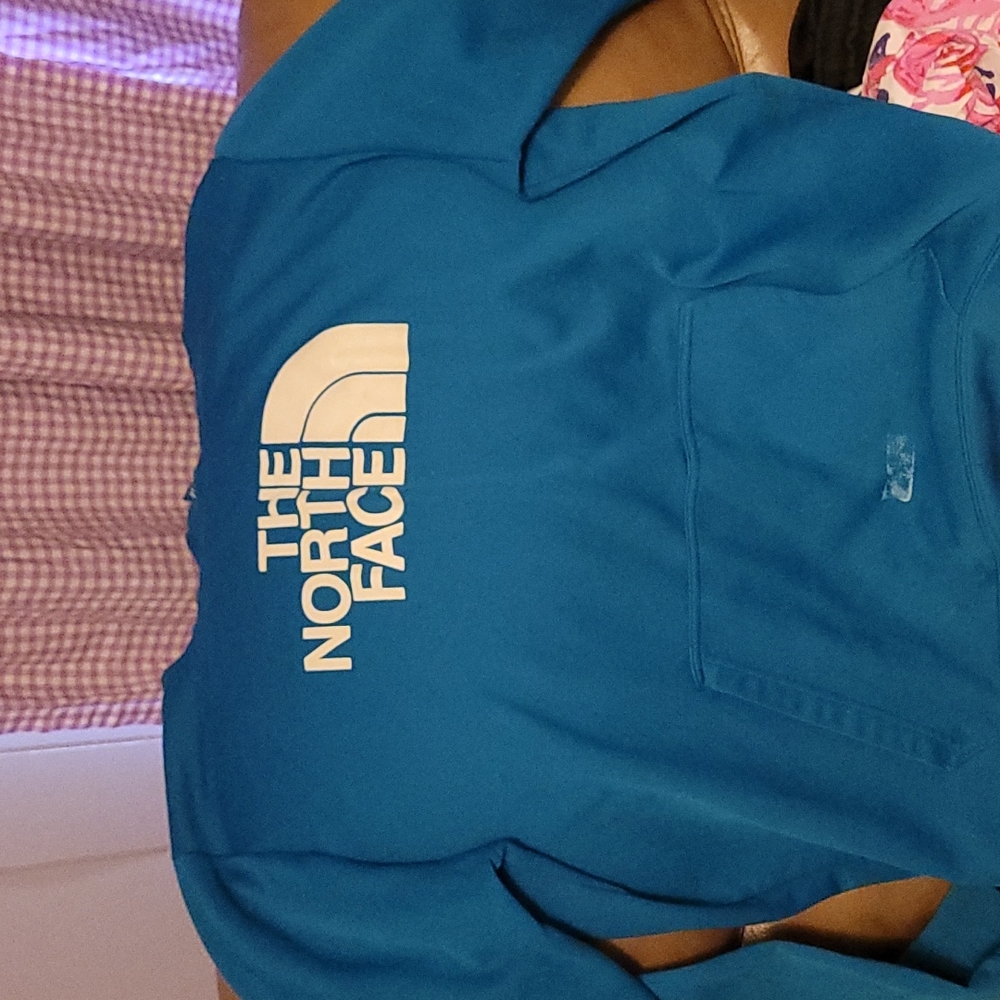 Blue northface hoodie